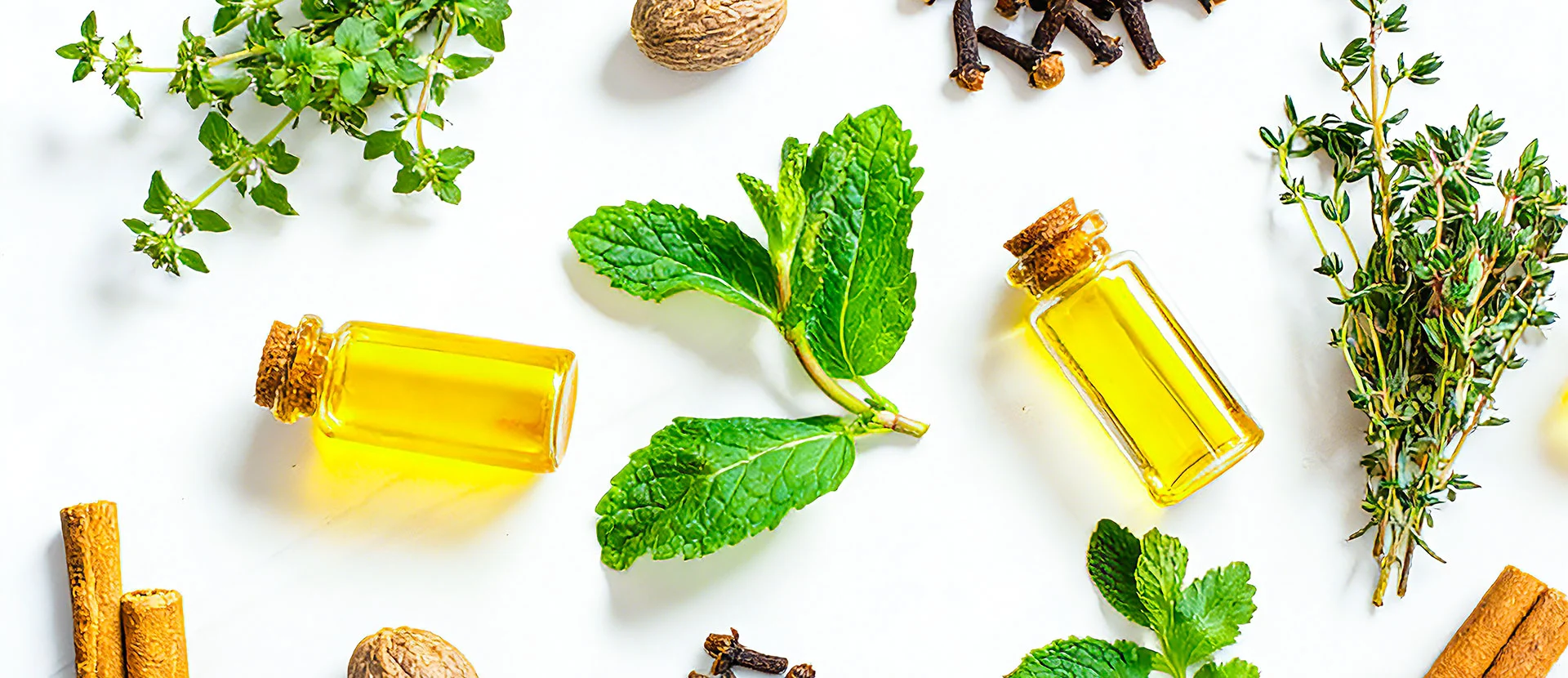 সেন্টসি বার্তা